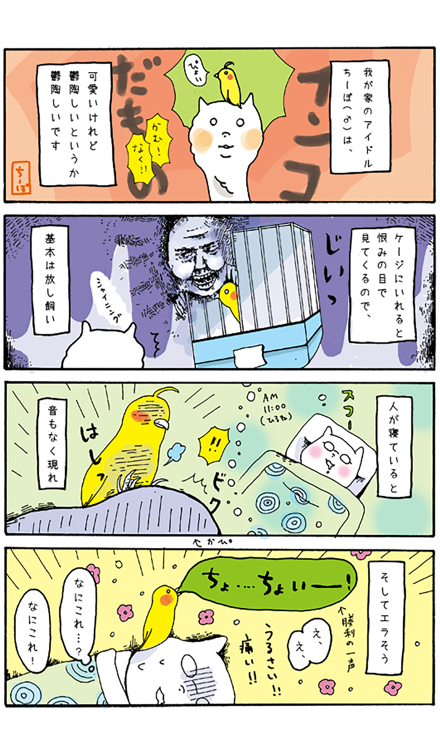 我家のアイドルオカメ